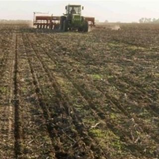 "Brùsogiu" - "Bruciore di stomaco"