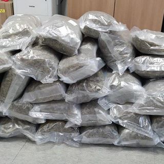 53 chili di marijuana in cantina