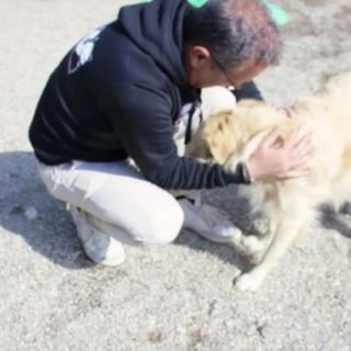 Un frame del videoclip di &quot;Legami al cuore&quot;