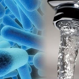 Possibile caso di legionella a Fagnano Olona