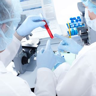 Coronavirus, il punto in provincia: Varese +5, Busto +3, Gallarate +2, Saronno +1 Coronavirus, il punto in provincia: Varese +5, Busto +3, Gallarate +2, Saronno +1