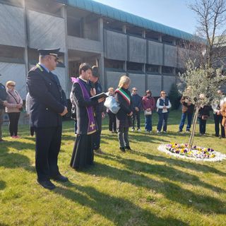 La comunità castellanzese si stringe intorno all’ulivo in memoria delle vittime del covid