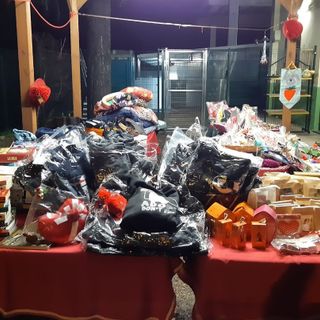 Mercatini di San Valentino al canile di Busto. Un gesto d’amore per gli amici a quattro zampe