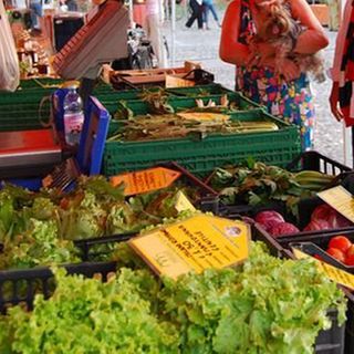 In piazza Vittorio Emanuele torna il mercato contadino di Slow Food