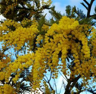 GLI APPUNTAMENTI. Weekend tutto femminile tra musica, corsa e fotografia