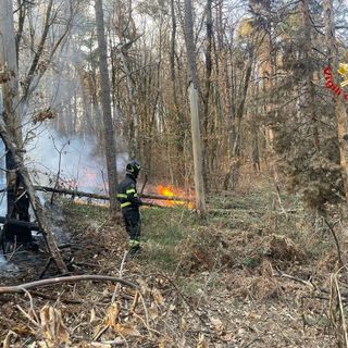 FOTO. Ancora fiamme nel Varesotto: bruciano i boschi a Vergiate, Tradate e Casale Litta