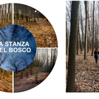 Il progetto La Stanza nel Bosco