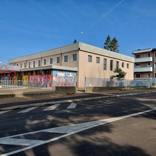 Il Comune di Marnate taglia i pini di fronte alla scuola. «Scelta difficile ma necessaria»