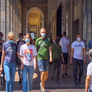 (foto da Lombardia Notizie) (foto da Lombardia Notizie)