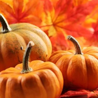CHE FARE NEL WEEKEND. Castagne, zucca e funghi per un fine settimana dal vero sapore autunnale