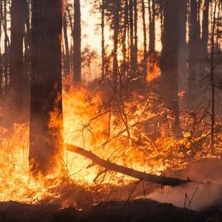 Da Cassano Magnago una forza in più contro gli incendi boschivi