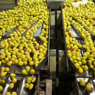 Aumentano dell’8,6% i prezzi di produzione dell’industria alimentare