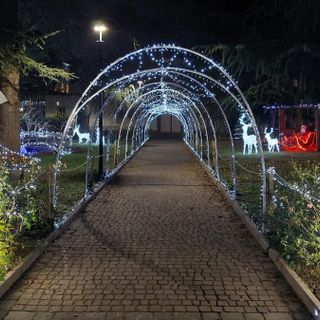 FOTO E VIDEO. Olgiate accende le luci del suo giardino incantato