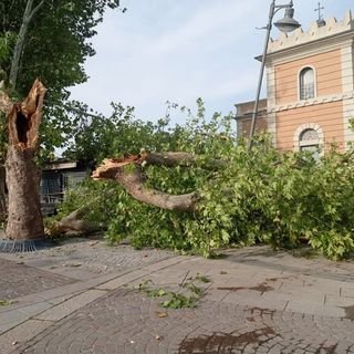 Legnano, i danni del maltempo: alberi caduti, palo della luce piegato e allagamento in via Milano