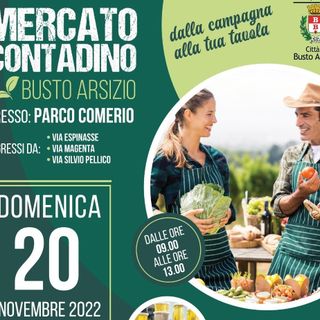 Al parco Comerio di Busto torna il mercato contadino