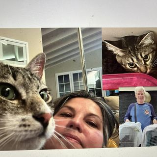 LA STORIA. «Siamo andati in 2, siamo tornati in 5». La scelta di Raffaella e Ale che ha commosso il gattile