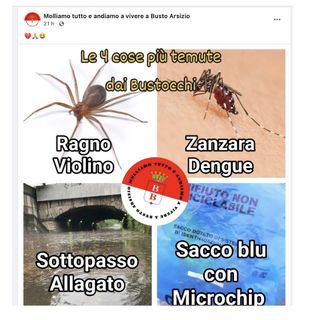 I tormentoni dei bustocchi. E il sacco azzurro se la vede con la zanzara Dengue
