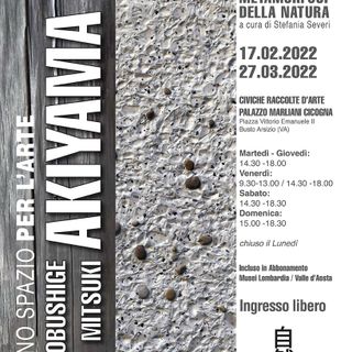 Filosofia Zen in mostra con la “Metamorfosi della natura”