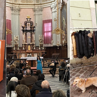 Suonami, BA Classica, Sbaracco. A Busto una sinfonia di musica e commercio