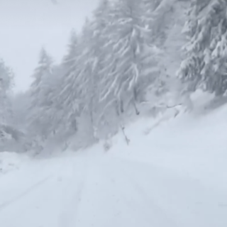 Il Mottarone svela la sua nevicata su Facebook - dalla pagina del Parco