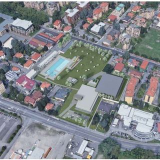 Il Team Legnano Nuoto all’assessore Bragato: «State demonizzando una società che ha sempre lavorato bene»