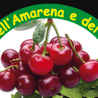 Amarene pronte a finire "al sole", in Piemonte c'è l'Ordine dell'Amarena e del Nebbiolo