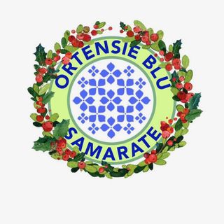 Le &quot;Ortensie Blu&quot; colorano la domenica di Samarate