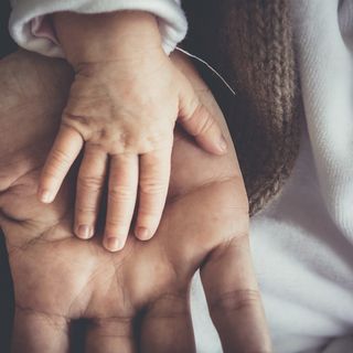 Il padre da più di 3mila anni: mostra alla scuola Sacro Cuore di Gallarate