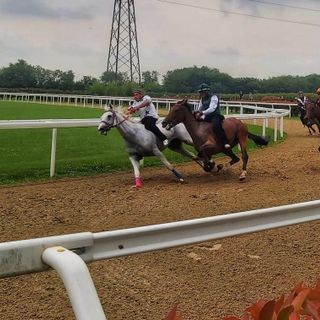 I cavalli sono tornati a correre in attesa del Palio