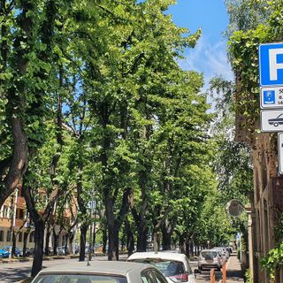 Sosta con disco orario vicino al supermercato di viale Duca d'Aosta