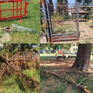 FOTONOTIZIA. Qualcosa non va al parco Principessa Mafalda di Sacconago