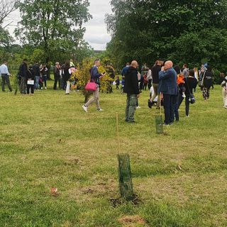 Alberi e casetta delle api: cresce il parco dei nuovi nati di Busto