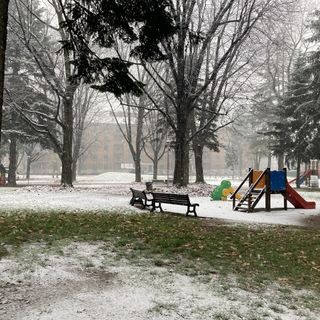 La neve imbianca tetti e giardini (parco di viale Stelvio, Busto ore 11)