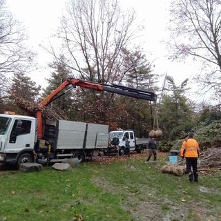 Legnano, parco Castello: dopo gli abbattimenti, le piantumazioni