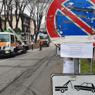 L'intervento di potatura in via Cadore