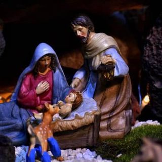 L'omaggio di Lussurzesa con le zampine medicate al Bambino: il presepe che commuove tutti