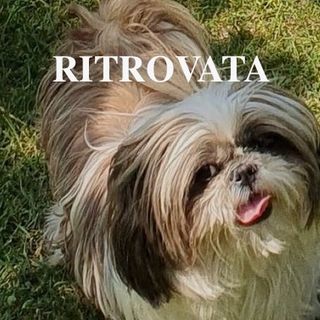 Ritrovata Charlotte a Castellanza