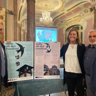 Da sinistra, Aliverti, Rogora e Tallarida