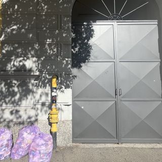 FOTO. Piazza Trento si colora di verde. Ma anche un po' di viola