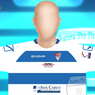 La parte superiore della maglia. Sotto, oltre agli sponsor il proprio nome