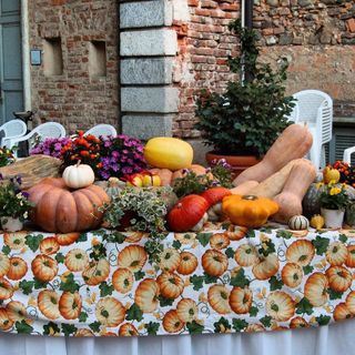 Domenica a Fagnano la regina è la zucca