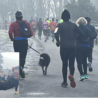 Tutti uniti, e tutti vincitori, alla San Gaudenzio Run