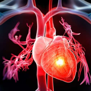 Scompenso cardiaco: se ne parla sabato 17 giugno in un convegno organizzato dalla Cardiologia del “Galmarini”