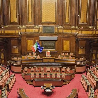 Foto dal profilo Twitter del Senato