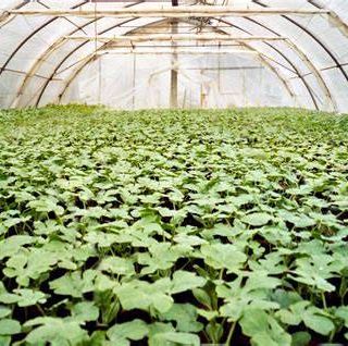 Con le temperature sottozero i costi energetici salgono (ancor più) alle stelle