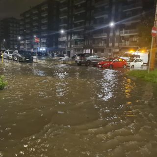 foto dell'assessore Marco Granelli
