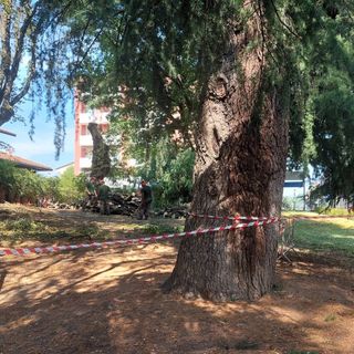 FOTO. Rimossi gli alberi pericolosi al parco di Villa Durini