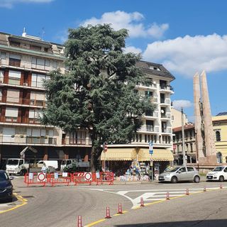 &quot;i cumerciai&quot; - le Commerciali