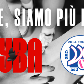Nasce una collaborazione tra Uyba e Villa Cortese: «Il muro di Berlino pallavolistico non c'è più»