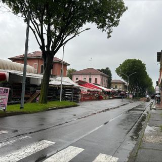 La pioggia non ferma via Magenta in fiore